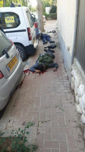 Gaza cover