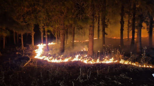 Urgent | Hebrew Channel 12: A new fire spot, 9 firefighting crews trying to put out the fire near “Mitzpe Ilan” in north