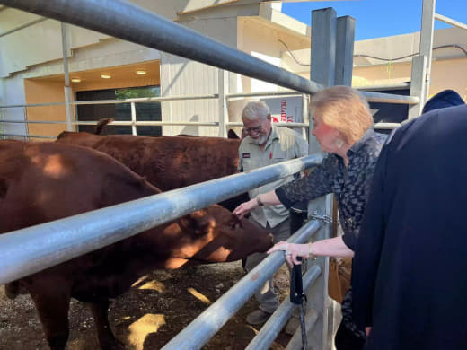 The American ambassador to the occupation, Mike Huckabee, visited the “Shilo” settlement established on lands northeast 