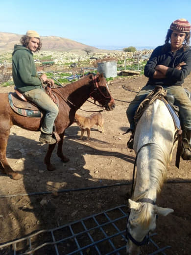 طوباس: مستوطنون يعيقون عمل طواقم لجنة الانتخابات في مركز تسجيل تجمع يرزا شرق طوباس قالت لجنة الانتخابات المركزية إن مستو