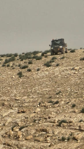 المستوطنون يحاولون الاستيلاء على قطيع من الأغنام في قرية الرشايدة جنوب شرق بيت لحم.