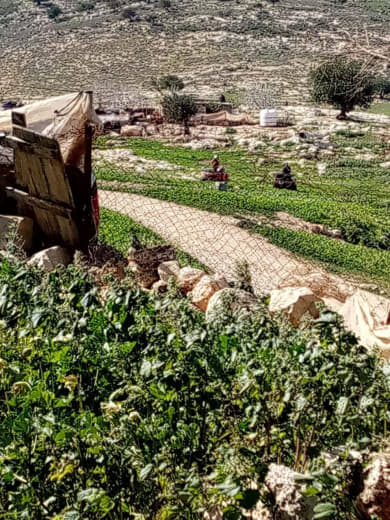 المستوطنون يقتحمون محيط خربة يرزا في الأغوار الشمالية