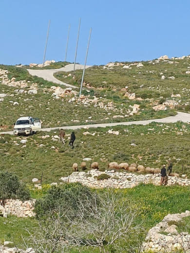 المستوطنون يسيطرون على أراضي جديدة ويطلقون الرصاص الحي على المواطنين في بلدة بيت إمرين في محافظة نابلس. دعوات من أهالي ا