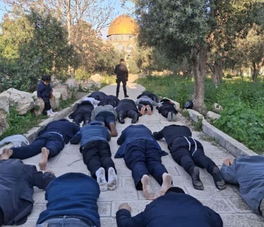 Israeli settlers perform the so-called “epic prostration” in the courtyards of the Al-Aqsa Mosque compound in occupied J