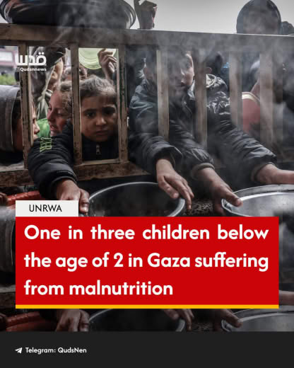 One in three children below the age of 2 in Gaza suffering from malnutrition, according to the UN Palestine refugee agen