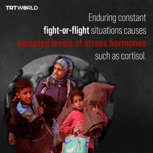 Israel’s ongoing military offensive in Gaza has not only cost the lives of thousands of innocent civilians but has also 