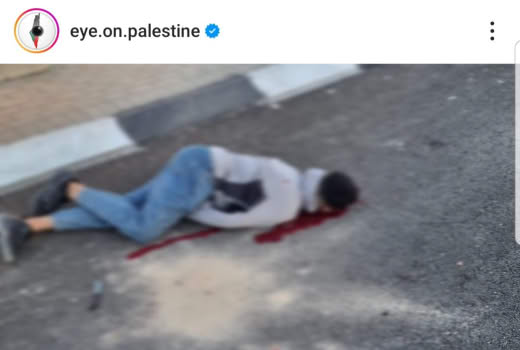 30/7/2024  @eye.on.palestine