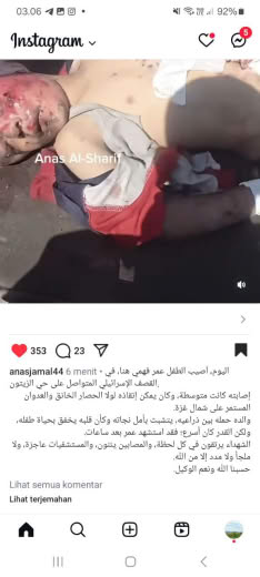 Olive area Posted at 11.00pm Gaza time 29 08 2024