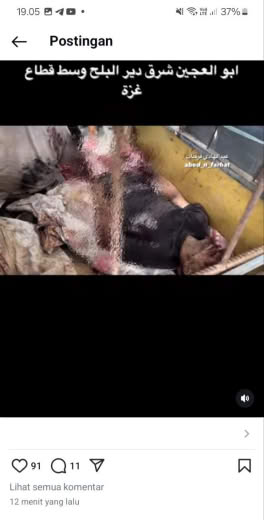 Posted at 02.53pm Gaza time, 22 09 2024