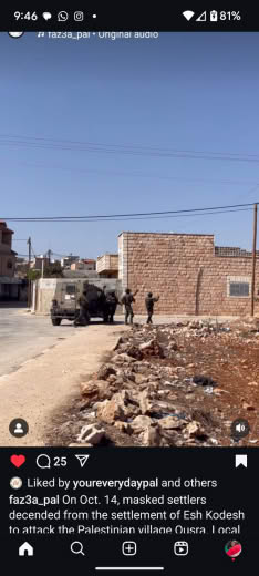 Settler attacks on olive groves in West Bank. Can't download.