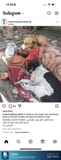 Posted 21 October 2024 on Instagram | A salute to the dogs who remained loyal to the last breath and did not betray or f