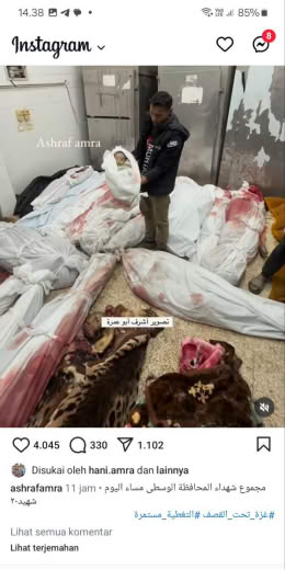 Central Governorate Date of incident : 31 10 2024 Source : Ashrafamra