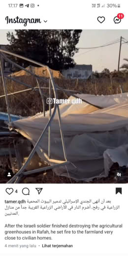 Rafah Source : Tamer