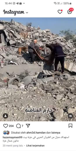 Beit Hanoun, North of Gaza Source : Hossam Shabat