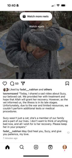 Posted 22 December 2024 on Instagram | "Today, I shared a sad video about Suzy, our beloved cat. We provided her with tr