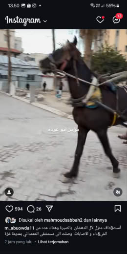Al-Dahshan Family Source : Momin Abu Owda