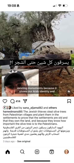 Posted 10 April 2025 on Instagram | The Jewish thieves steal olive trees from Palestinian villages and plant them in the