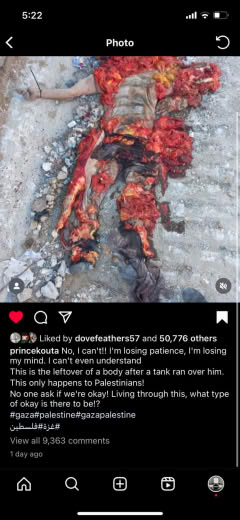 Needs no explanation needed. No words can describe this scene. Posted on fen 28 or 29 on instagram (