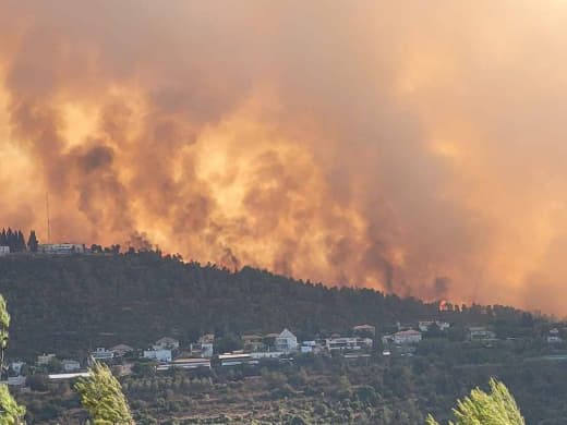 Massive fires devour settlements in our Palestinian territories occupied in 1948