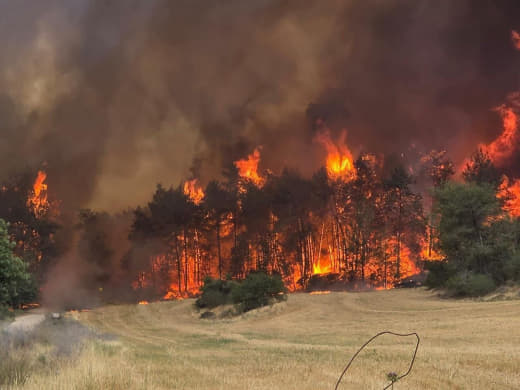 Fires burn the green and dry land in the occupied Palestinian territories, and the Zionist occupation appeals to the cou
