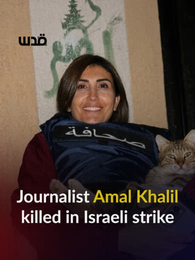 Lebanese journalist Amal Khalil was killed following a series of Israeli strikes on the town of Al-Tiri in southern Leba