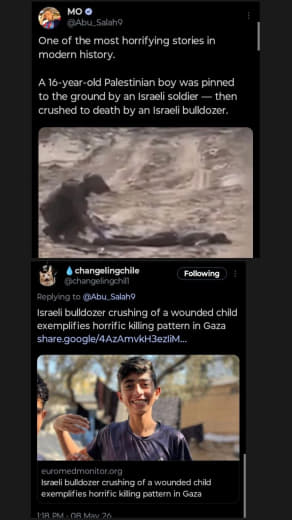 One of the most horrifying stories in modern history. A 16-year-old Palestinian boy was pinned to the ground by an Israe