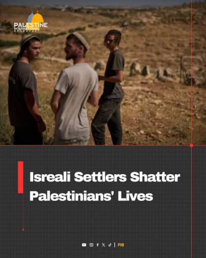 An Israeli settler provokes residents after releasing his livestock in the Masafer Yatta area south of Hebron. These att