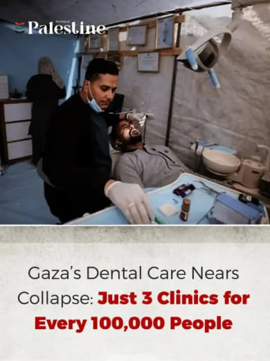 The Gaza Center for Human Rights reported that Gaza’s dental care sector is nearing total collapse, with World Health Or
