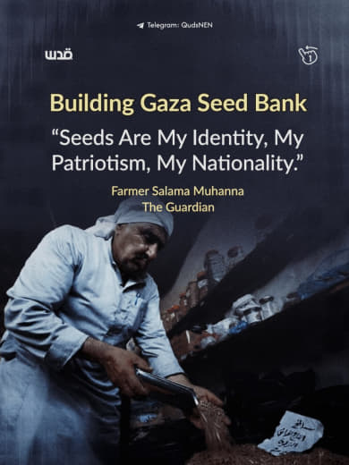 Amid Gaza’s devastation, a family-run seed bank is preserving local Palestinian seeds and helping farmers rebuild food s