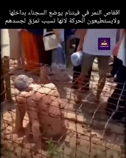 👤 hikayat_world 📝 The tiger cages in Phu Quoc prison in Vietnam were built by the French colonialists between 1946 and 1
