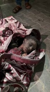 Palestinian child Azzam Abu Al-Tayf was savagely killed last night after an Israeli airstrike targeted a residential apa