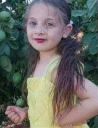 The Palestinian National Initiative Movement called for accountability and punishment for all those responsible for the 