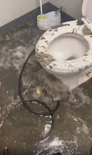 Most of the toilets on the USS Gerald R. Ford stopped working. Around 80% are clogged, with sewage backing up into the s
