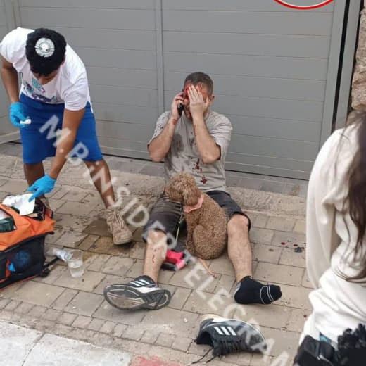 🚨📍🇮🇱 Why are the zionists crying? They begged for this war...