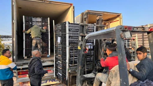 #Photos For the first time since the beginning of the war.. Bringing fruit into the Gaza Strip through the Rafah land cr