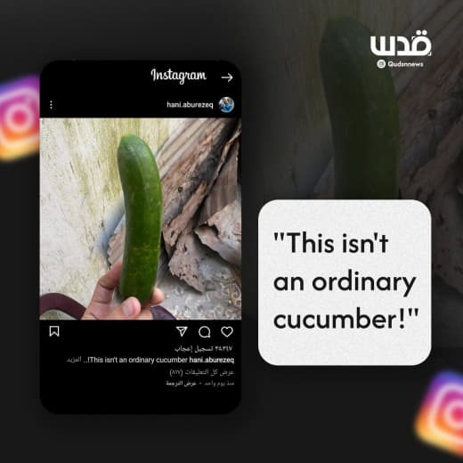 "This isn't an ordinary cucumber," wrote a Palestinian in Gaza. "This cucumber was smuggled with one of the truck driver