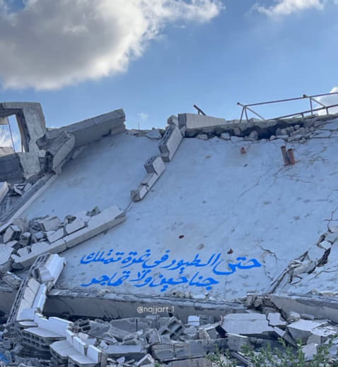 "Even the birds in Gaza have wings but do not migrate.” Spotted in Gaza 📍