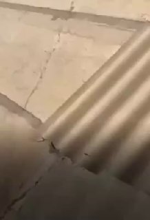Breaking | Israeli occupation aircraft heavily bombard the city of Ahvaz southwest of Iran.